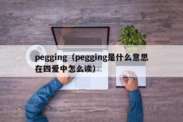 pegging（pegging是什么意思在四爱中怎么读）