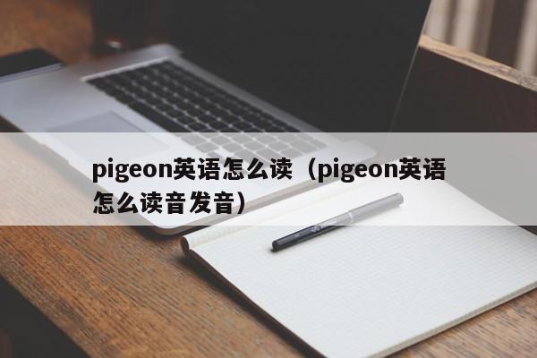 pigeon英语怎么读（pigeon英语怎么读音发音）