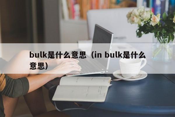 bulk是什么意思（in bulk是什么意思）